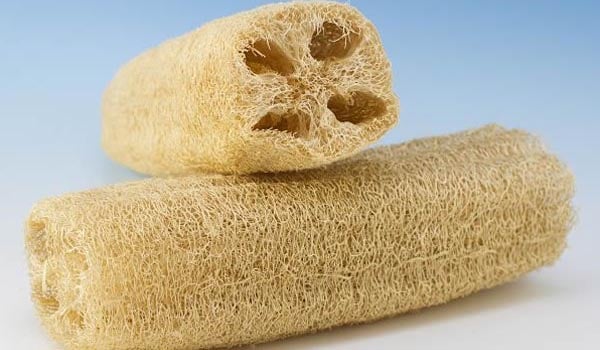 Sada Diskutere Utroskab What Is A Loofah? Benefits And More