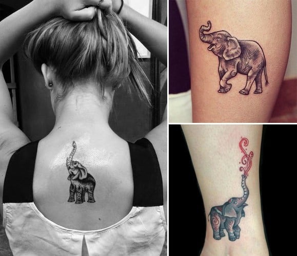 Trunk Up Elephant Tattoos