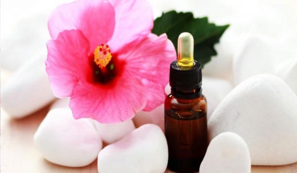 Hibiscus Oil Hair Uses