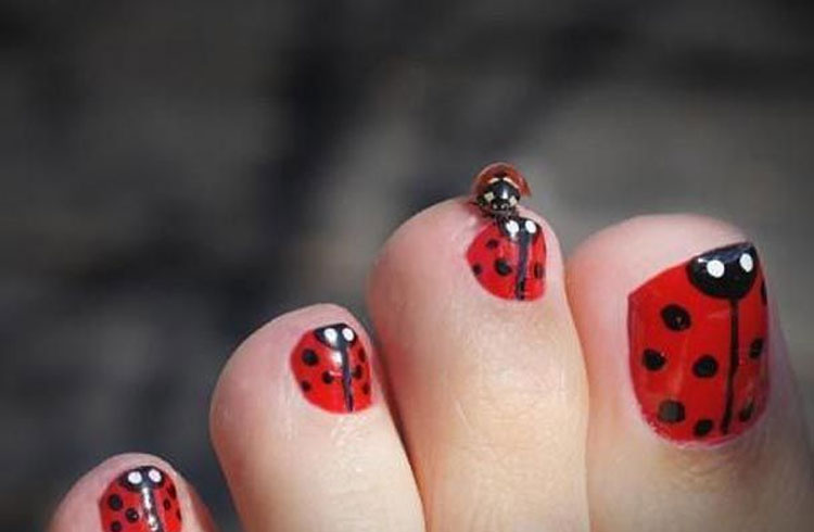 Lady Bug