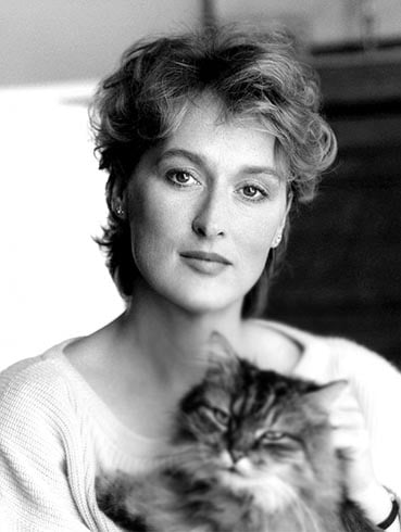 Meryl Streep Short Hairstyle