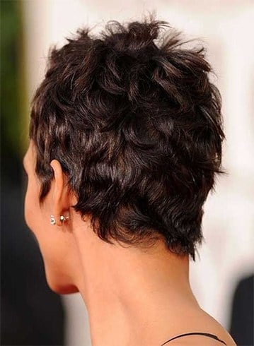 Halle Berry Shorthair