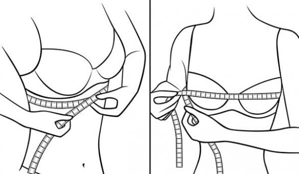 How To Measure Bra Size