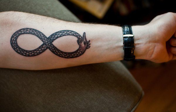 infinity Snake