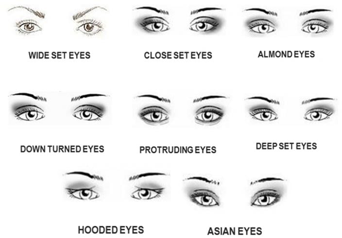 Different Types Of Eye Shapes