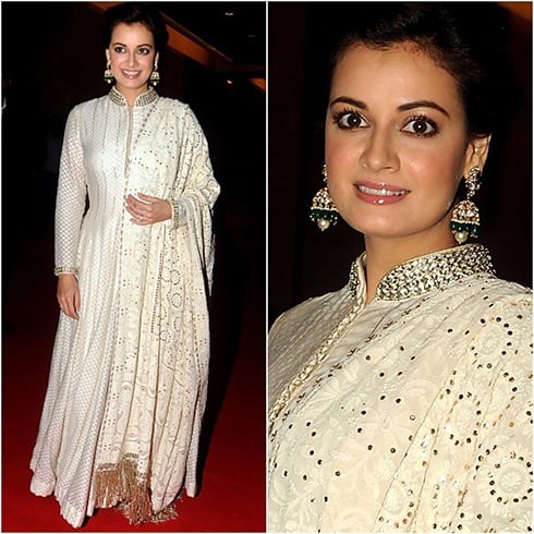 Dia Mirza In Divani