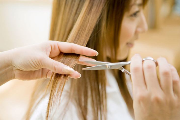 Dry Hair Cut