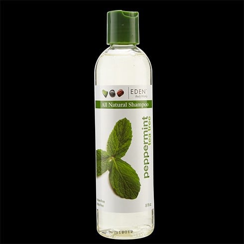 Organic Shampoo