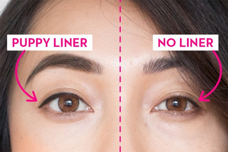 Wie man den Welpen-Eyeliner-Trend rockt  