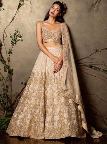 Panelled Style lehenga