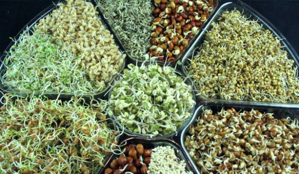 Sprouts