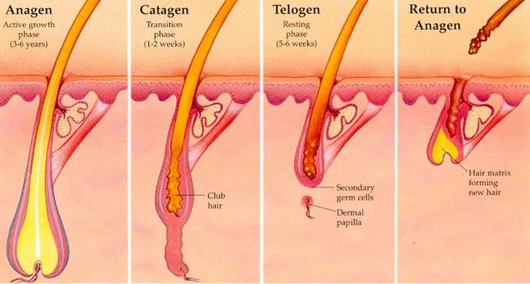 benefits of laser hair removal