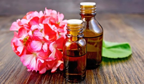 Geranium Oil Benefits For Skin