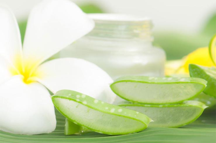 Aloe Vera For Dandruff