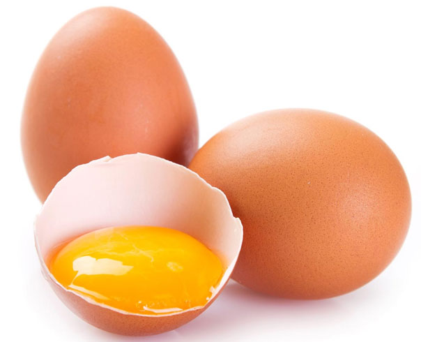 Egg