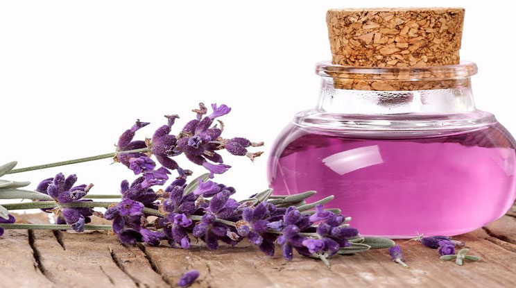 Lavender Oil