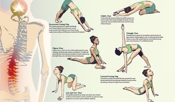 Yoga Poses For Back Pain