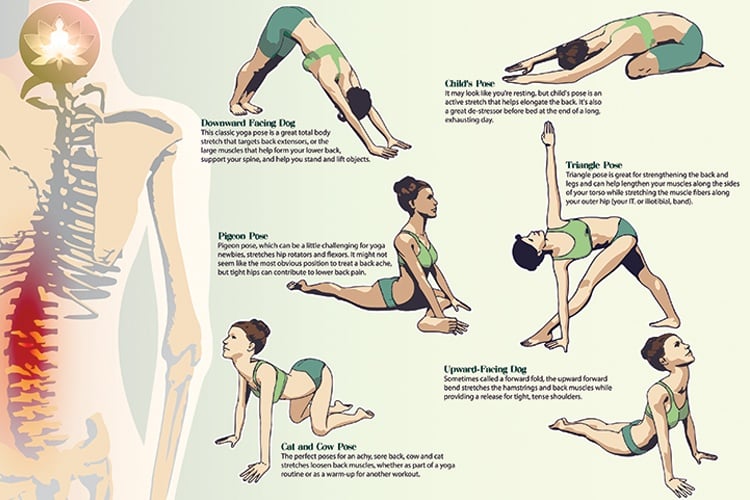 Image result for yoga for back pain relief