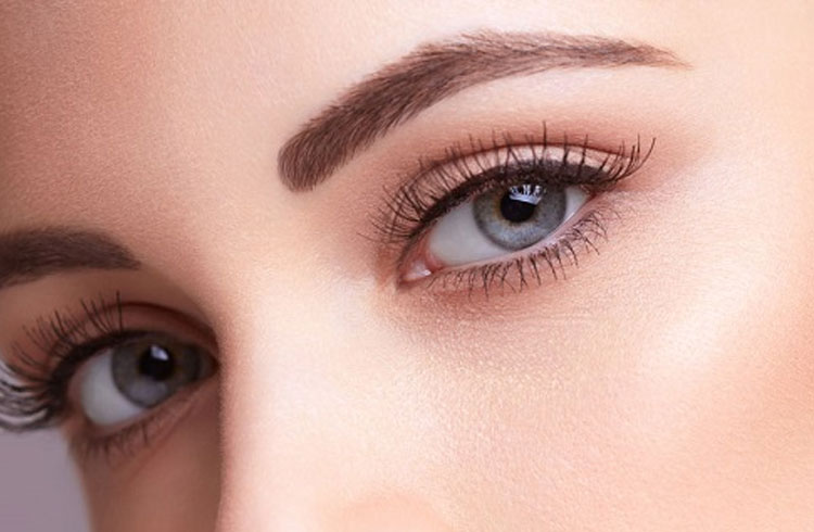 Eyebrow Growth For Women