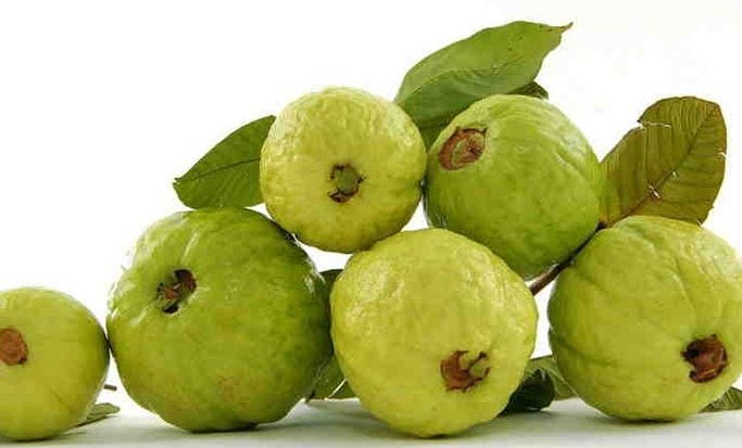 Guava Leaves For Skin Care