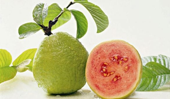 Guava Leaves For Skin Whitening