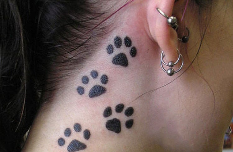 Pet Tattoos