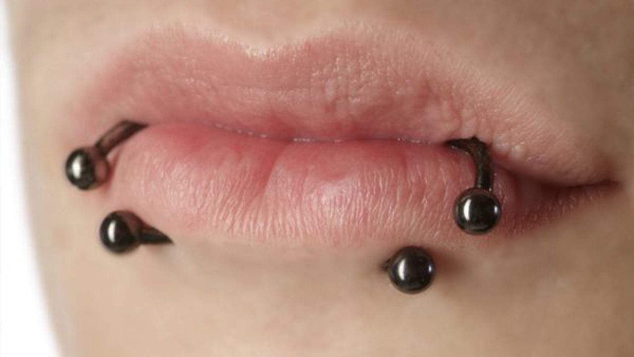 fake snake bites piercing