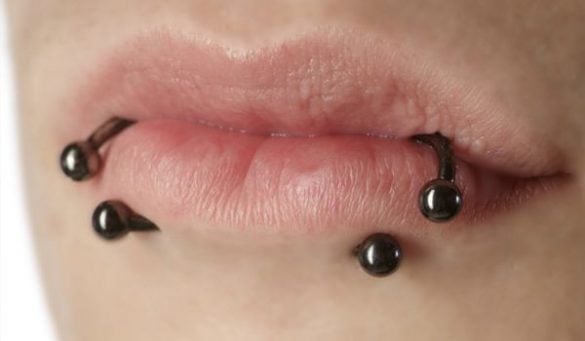Lip Piercing Snake Bites