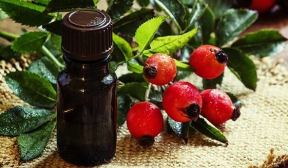 Rosehip Oil Benefits for Body