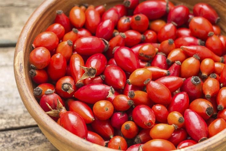 Rosehip Oil