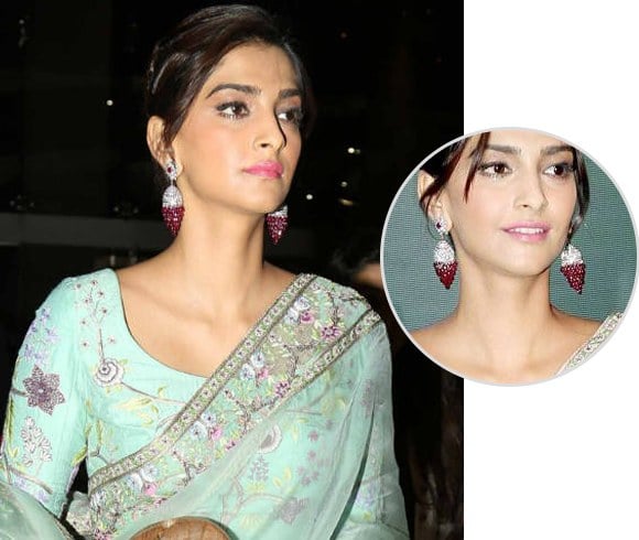 Sonam Kapoor Earnings