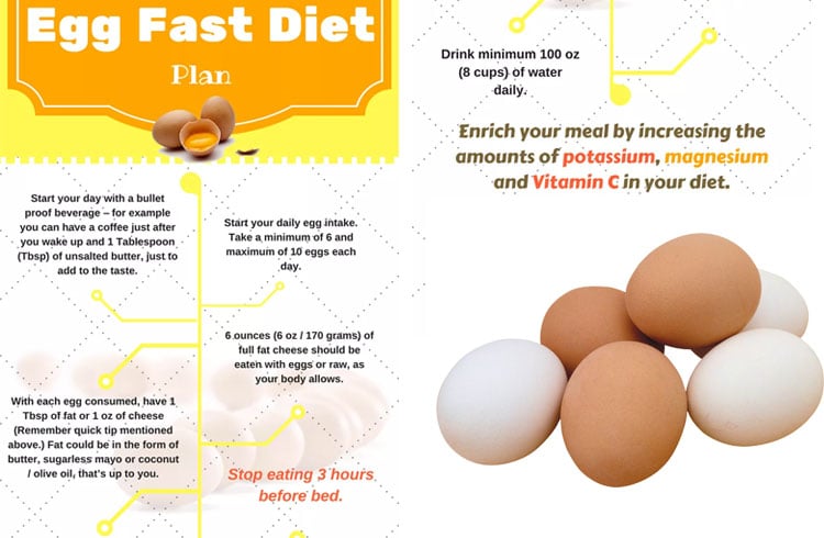 Egg diet to lose weight fast for All