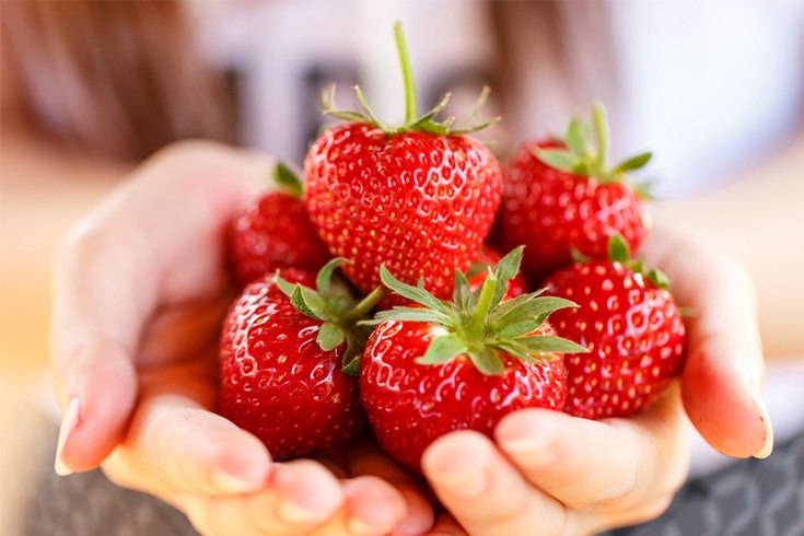 Facts About Strawberries