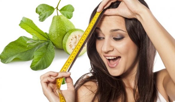 Guava Leaves For Hair Growth