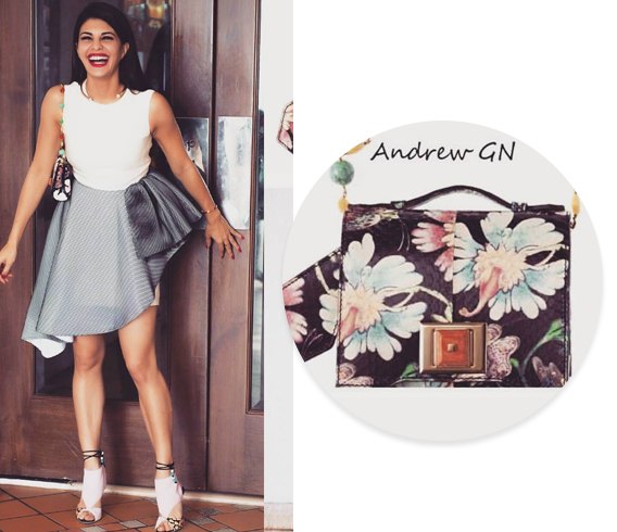 Jacqueline Fernandez Hand Bags