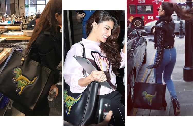 Jacqueline Fernandez Hand Bags