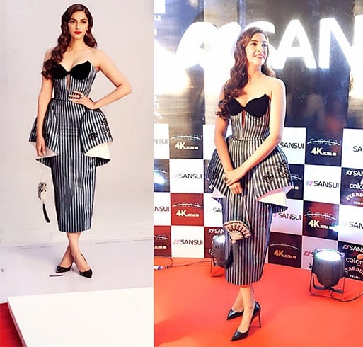 Sonam Kapoor Hand Bags