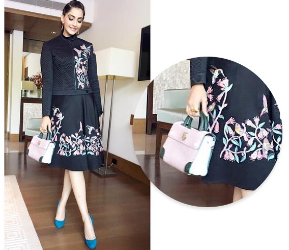 Sonam Kapoor Hand Bags