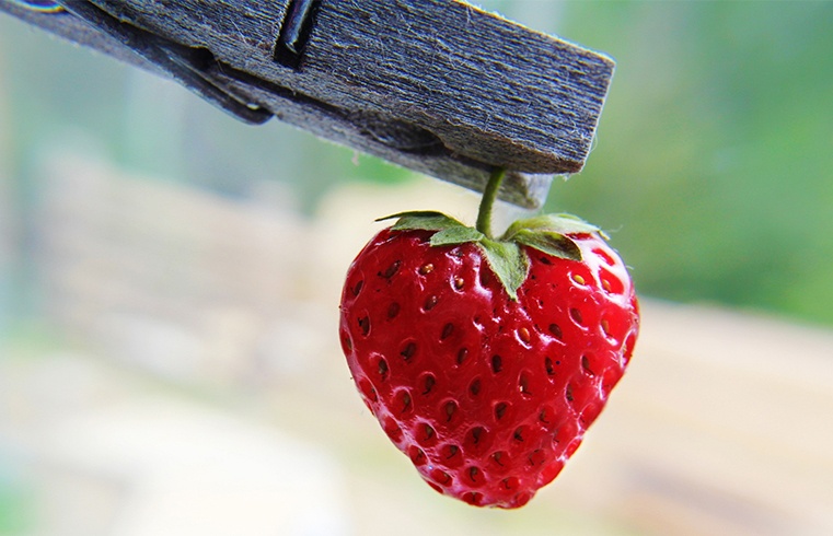 Vitamins in Strawberries