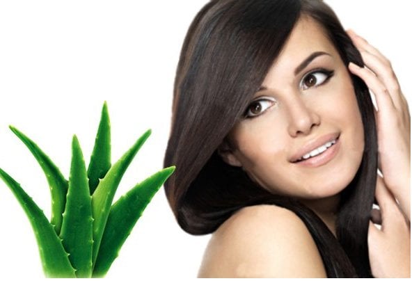 Aloe Vera For Hair Styling