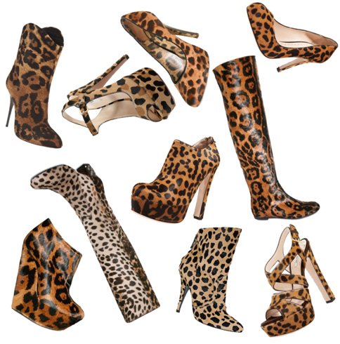 Cheetah print footwear