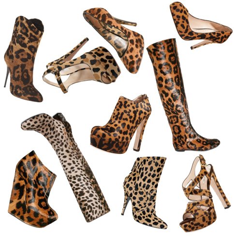 Cheetah print footwear