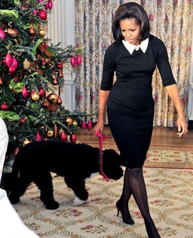 Michelle obama inauguration dress