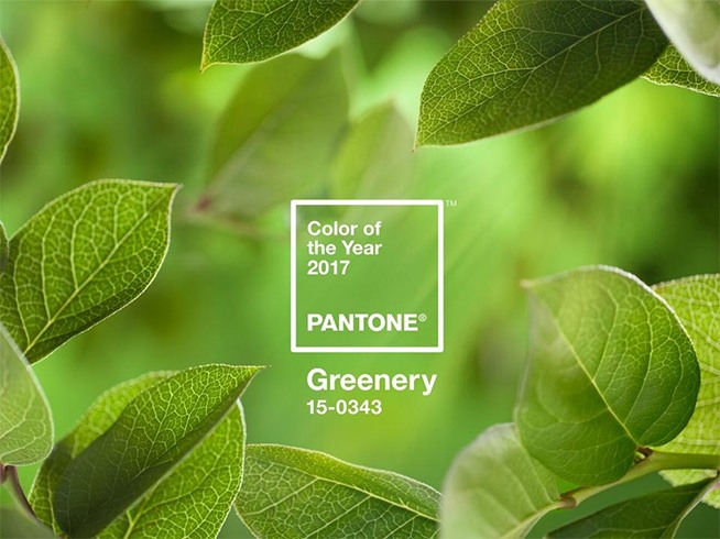 Pantone Grenery