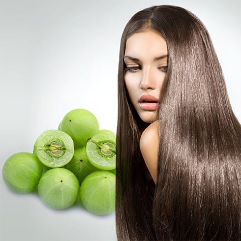 Benefits of Amla for Hair