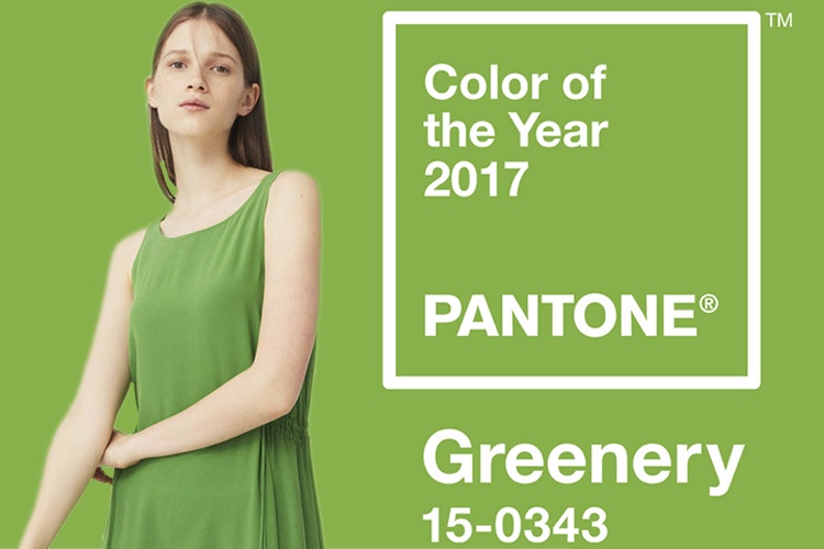 Pantone Color Of The Year 2017