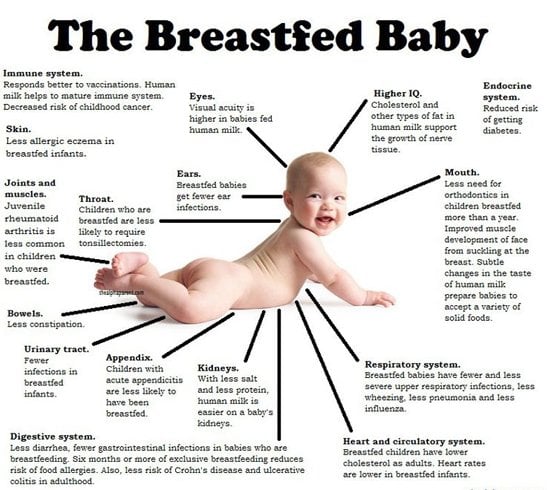 9 Benefits Of Breastfeeding Which Are Worth Reading 