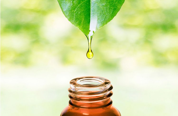 Tea tree oil