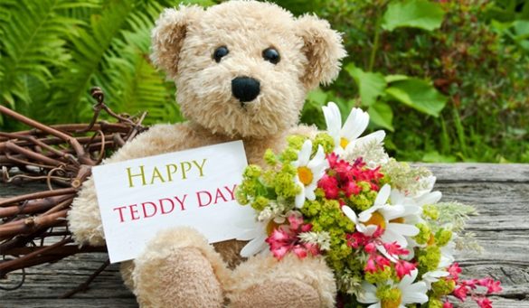 Teddy Day Ideas