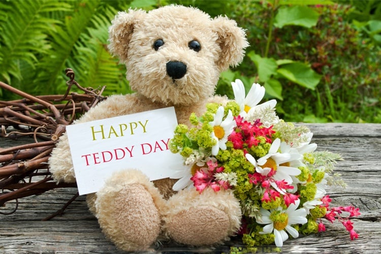 Teddy Day